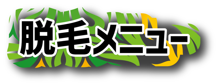 脱毛メニュー