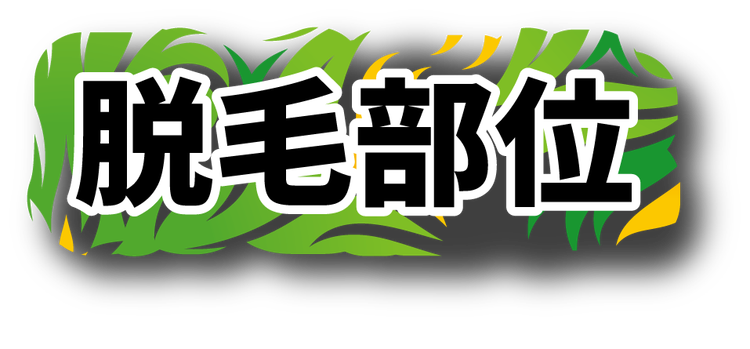 脱毛部位