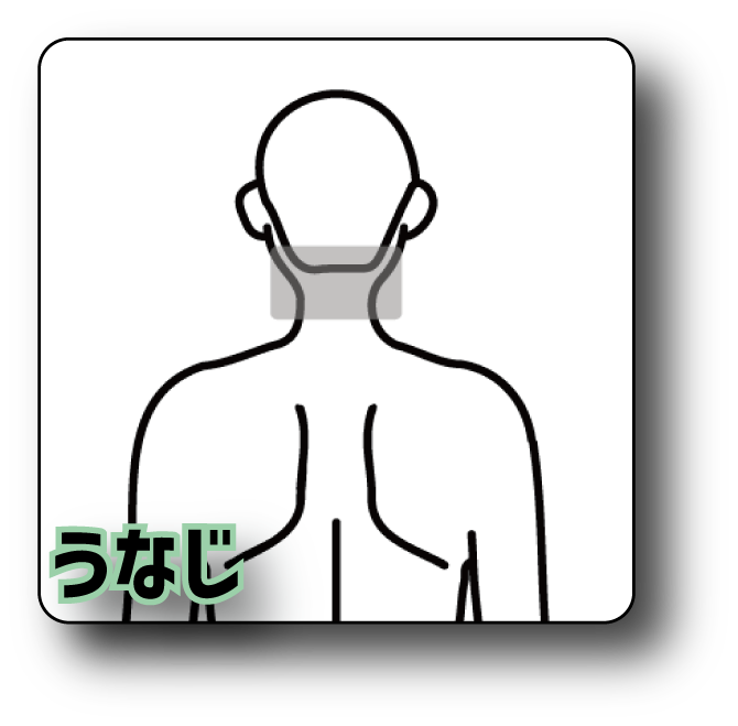 うなじ