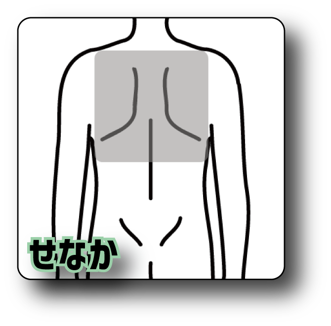 せなか