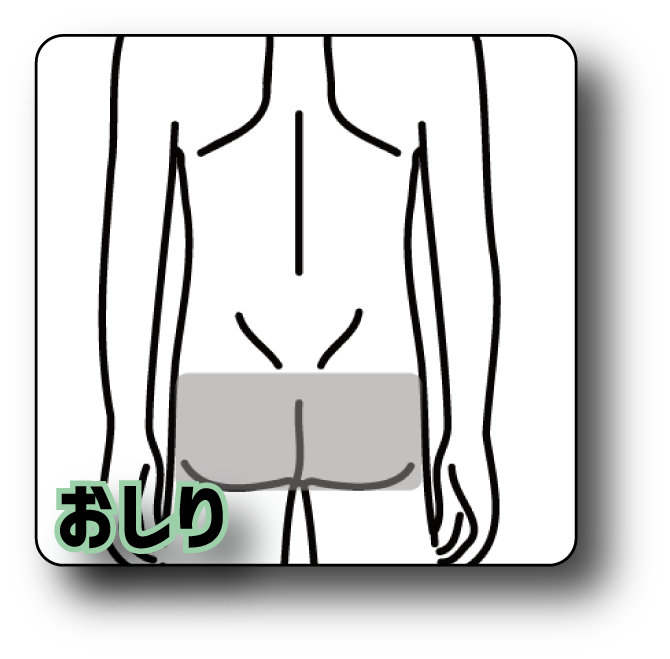 おしり