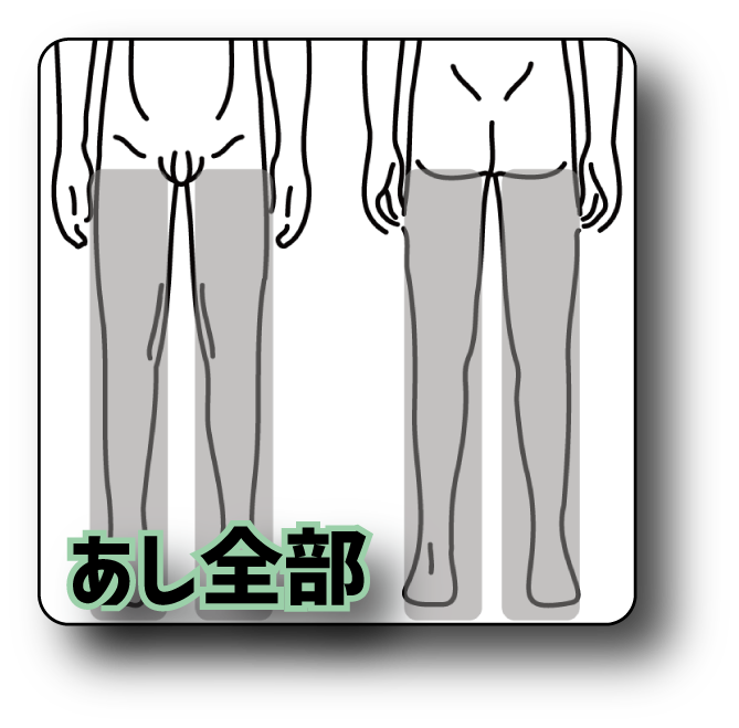 あし全部