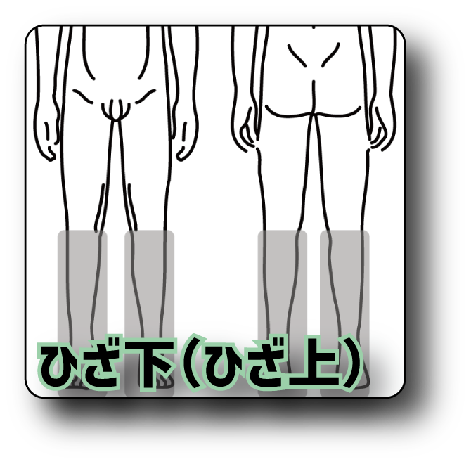 ひざ下(ひざ上)
