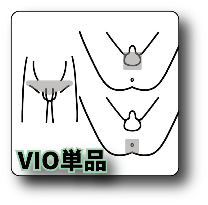 VIO単品
