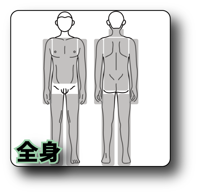 全身